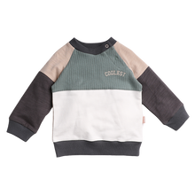 Afbeelding in Gallery-weergave laden, Sweater Colorblock
