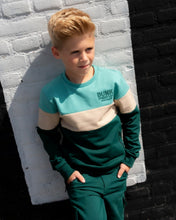 Cargar imagen en el visor de la galería, Sweater Sjoerd
