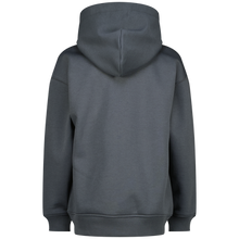 Cargar imagen en el visor de la galería, Hoody Basic

