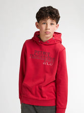 Cargar imagen en el visor de la galería, Hoodie SWH302
