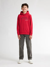 Cargar imagen en el visor de la galería, Hoodie SWH302
