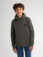Cargar imagen en el visor de la galería, Hoodie SWH330
