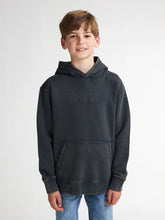 Cargar imagen en el visor de la galería, Hoodie SWH332

