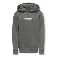 Cargar imagen en el visor de la galería, Hoodie Curated Reg
