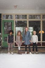 Lade das Bild in den Galerie-Viewer, Dress Naela
