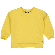 Afbeelding in Gallery-weergave laden, Sweater Pavol
