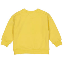 Afbeelding in Gallery-weergave laden, Sweater Pavol
