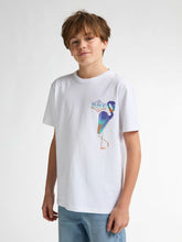 Lade das Bild in den Galerie-Viewer, T-shirt Petrol TSR648
