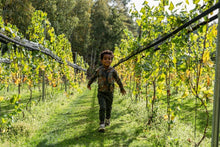 Lade das Bild in den Galerie-Viewer, Broek Q52812
